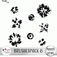 Brushespack 8 CU/PU by Mystery Scraps
