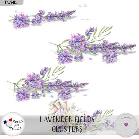 Lavender fields by VanillaM Designs - Click Image to Close