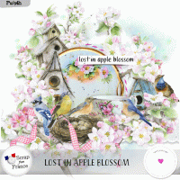 Lost in apple blossom by VanillaM Designs