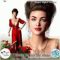 CHRISTMAS DAY POSER TUBE PACK CU - FS by Disyas