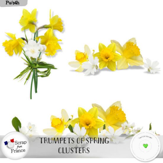Trumpets of spring by VanillaM Designs - Click Image to Close