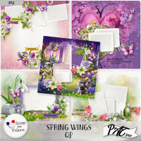 Spring Wings - QP by Pat Scrap