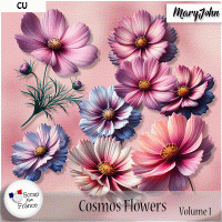Cosmos Flowers Volume 1 {Commercial Use} by MaryJohn