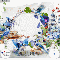 Blue dream by VanillaM Designs
