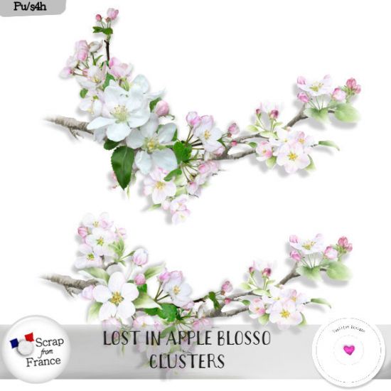 Lost in apple blossom by VanillaM Designs - Click Image to Close